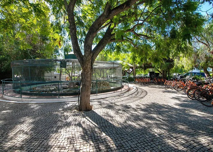 Estudio - Pedras Del Rei *