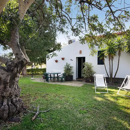 Estudio - Pedras Del Rei Sao Pedro (Algarve)