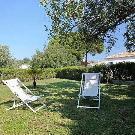 Estudio - Pedras Del Rei Lejlighed Sao Pedro (Algarve)