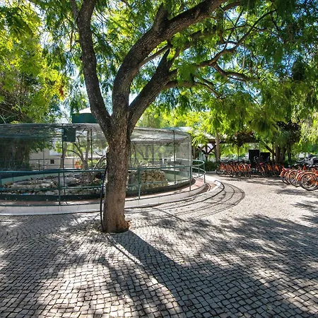 Estudio - Pedras Del Rei Sao Pedro (Algarve)
